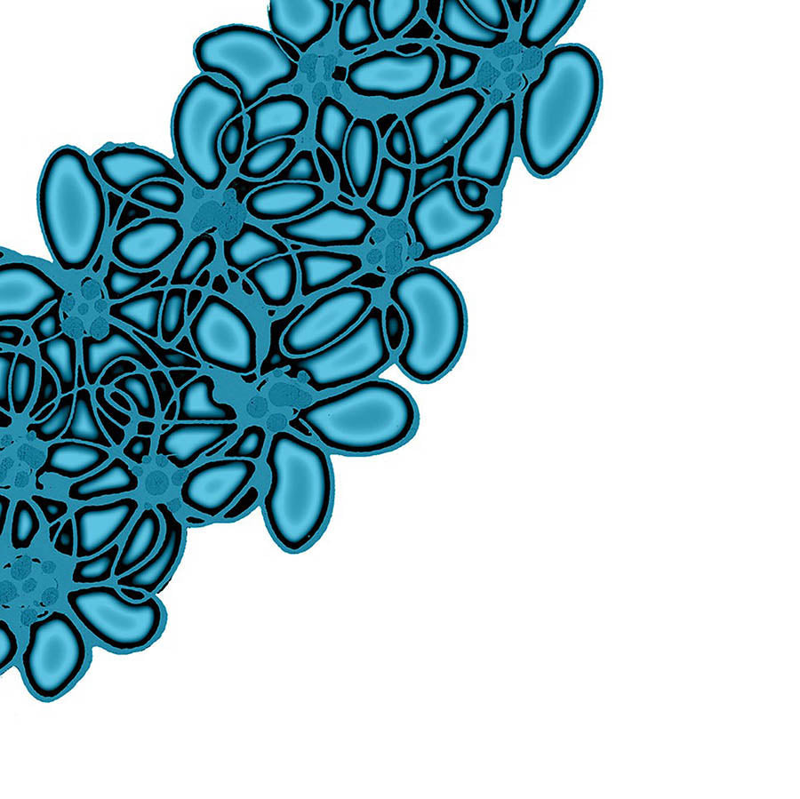 BLUE SEAGLASS HEART floral art print