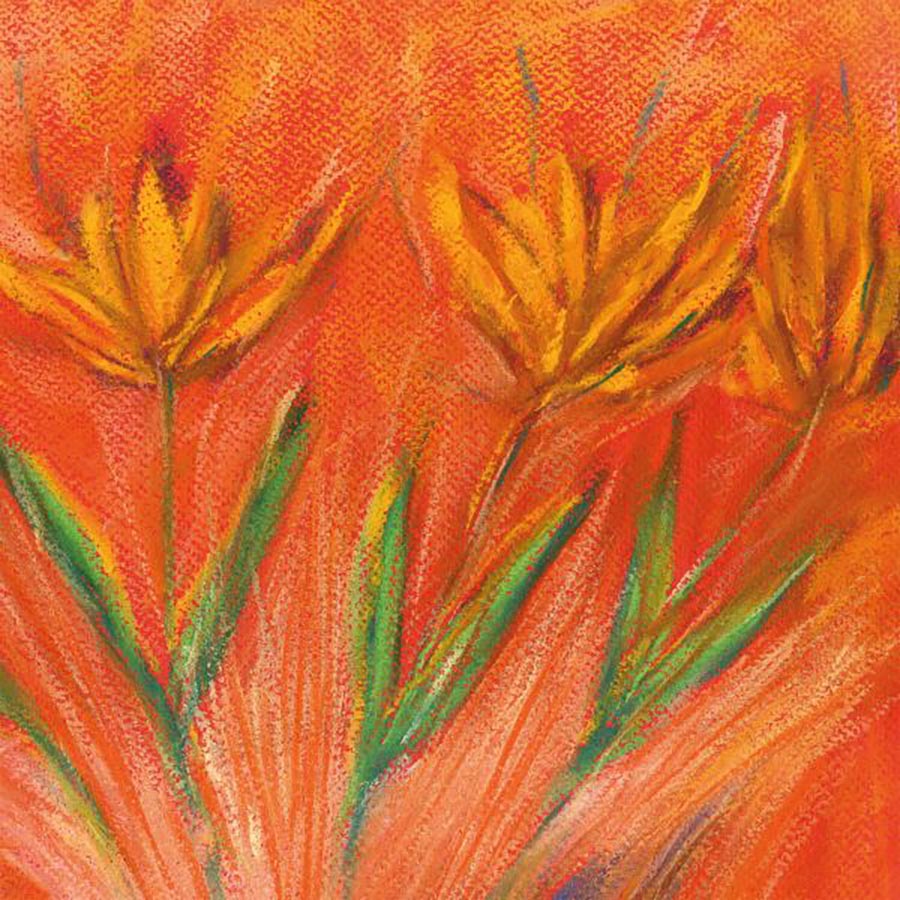 SUNBURST floral art print