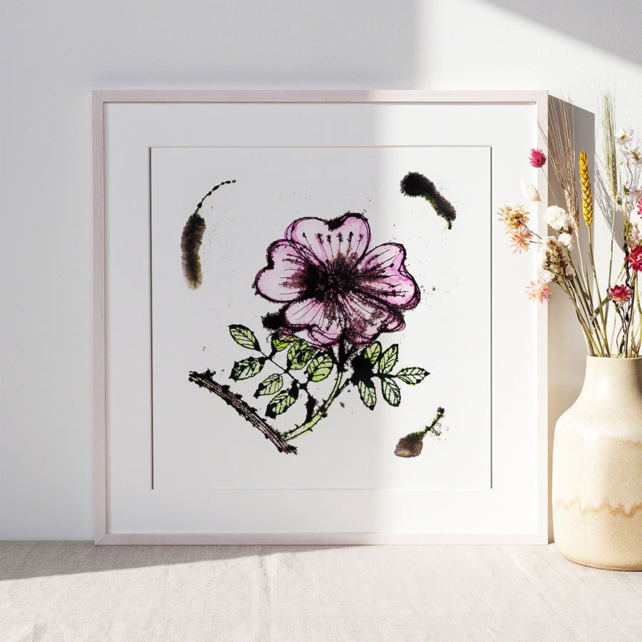 DOG ROSE floral art print