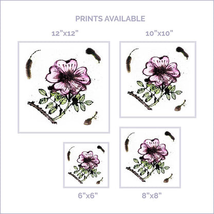 DOG ROSE floral art print