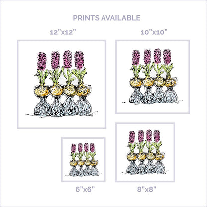 HOW TO GROW HYACINTHS floral art print